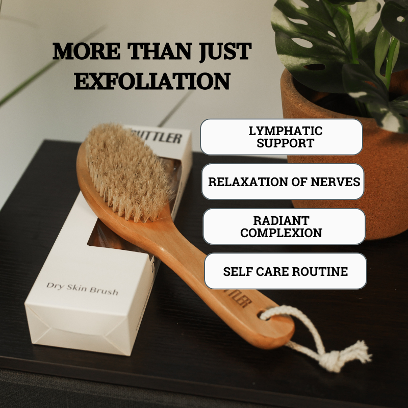 Dry Skin Brush