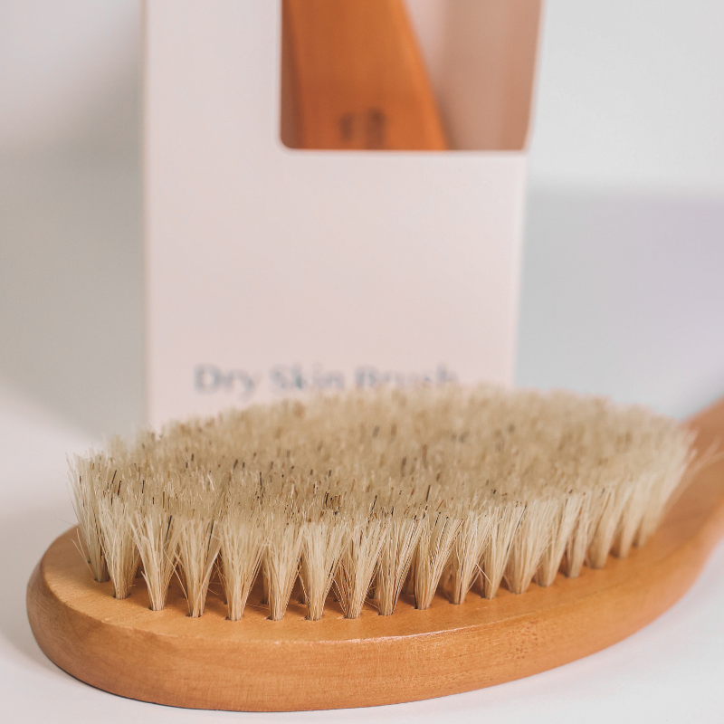 Dry Skin Brush